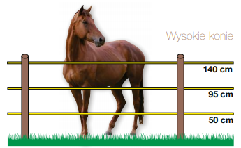 system ogrodzenia dla konia