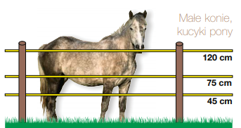 system ogrodzenia dla konia