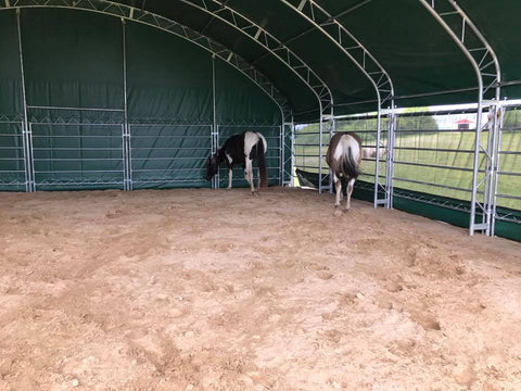 Namiot zagroda dla koni 12x 12m