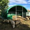 Namiot zagroda dla zwierząt 6x6m